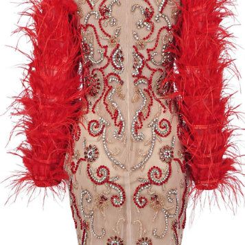 Women Red Feather Long Sleeve Mesh Rhinestone Dress