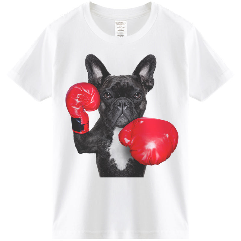 French Boxing Bulldog Puppy