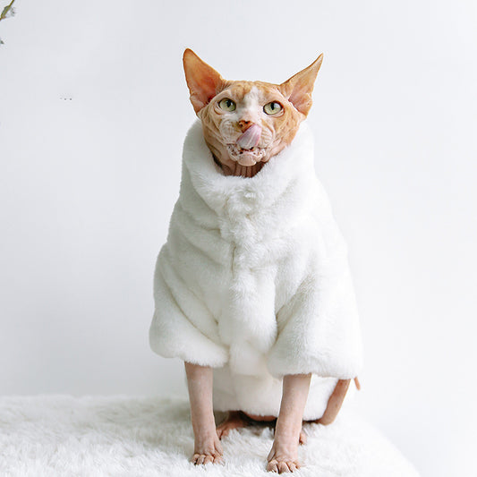 Hairless Cat Clothes