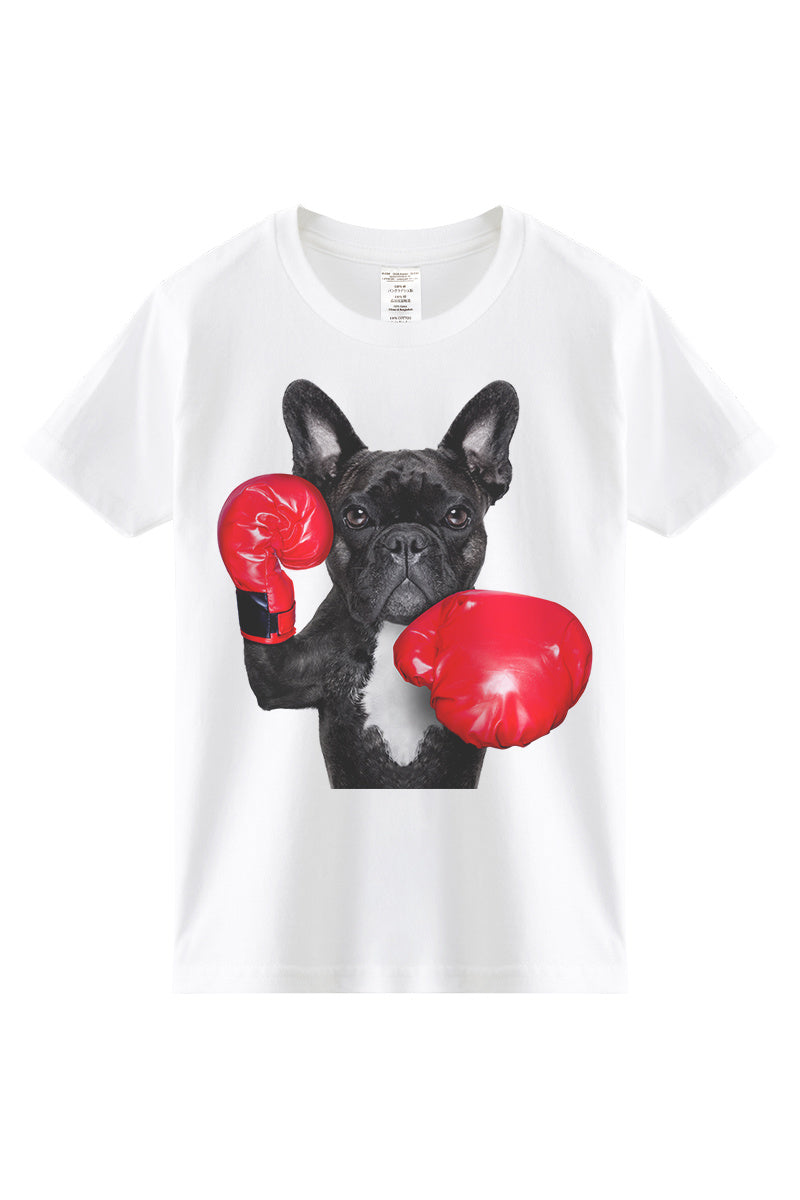 French Boxing Bulldog Puppy